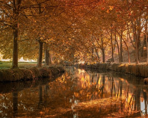 Retrato de Alejandro, coordinador de contenidos